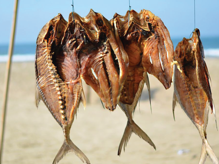 dry-fish